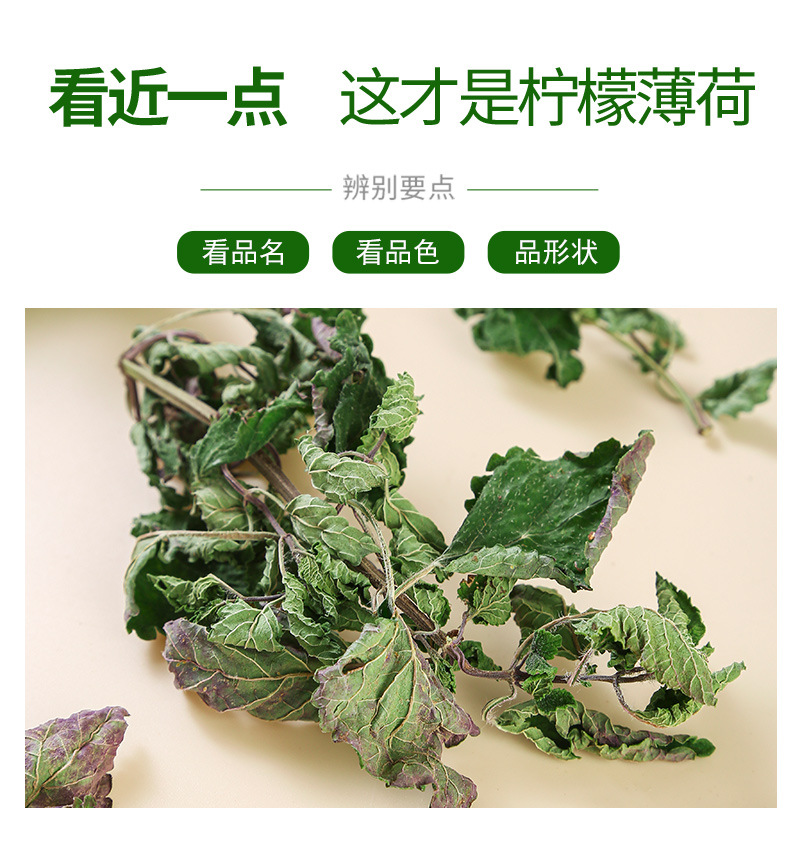 Mint Leaf Tea (Mentha haplocalyx) — Dried Food-Herb Mint for Cold Brew & Daily Infusions quality and texture