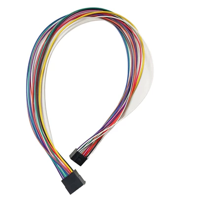Host Male-To-Female Extension: vehicle antenna