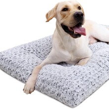 ���R�d���C����C��ů�ļ��|��؈�C����̩�Ͻ�ëõ��q���\�Ӻ�