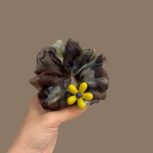 �W���ް��lȦŮ�¿���b��c�l�K����ʽ�^����Rβ�l�