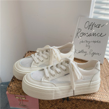 2023ļUվW͸СЬŮ͎ƽ׌WЬneŮЬ