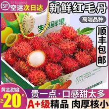 ����S�F؛�����ϱ�ͤ�të��5�ﮔ�����r�Ꭷ�ЋDˮ��1-3��ë��֦