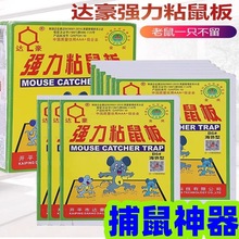 批发达豪B5海外型粘鼠板强力沾鼠达豪老鼠贴强力粘鼠贴灭鼠粘鼠板