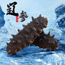 大连海参淡干辽参批发即食刺参礼盒佛跳墙食材一德路滋补海味干货