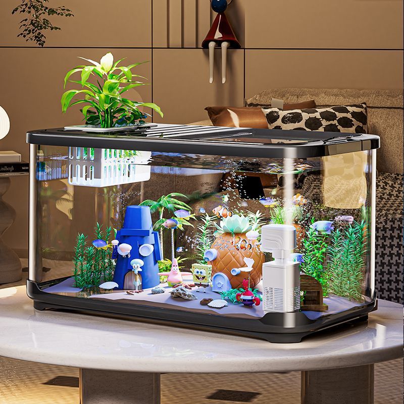 5596e22a-c4a7-46e2-99c2-706c073961e2.jpe