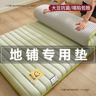 Mattress Soft Cushion Floor Sleeping Mat Household Foldable Moisture-Proof Floor Mat for Single and Double Rental Use