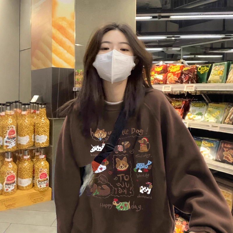 Hoodless Crew Neck Sweatshirt for Women 2025 New Early Autum Small Loose Korean Style Lazy Style Fleece-Lined Thickeneded Top