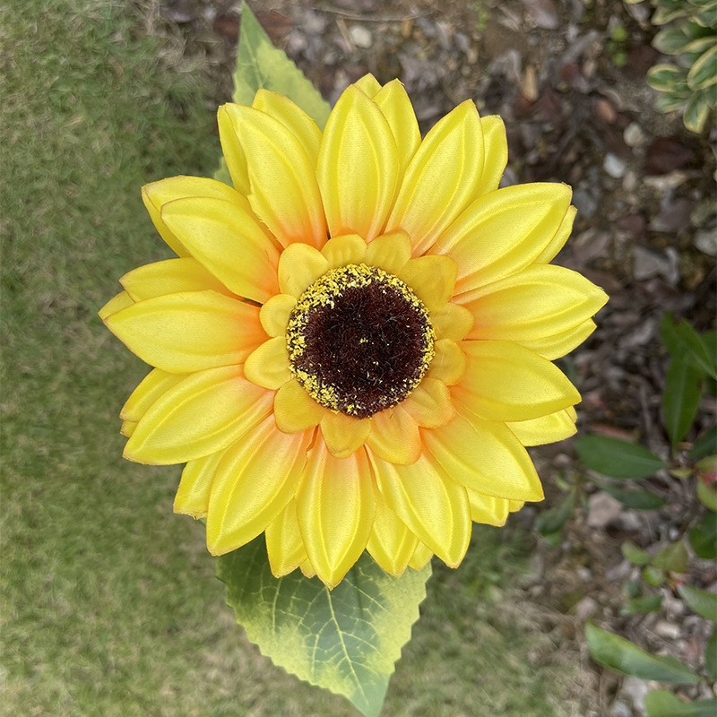 向日葵效果图 (7).jpg