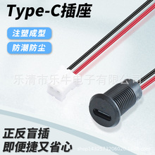 TYPE-C 2P��ˮĸ��/�������i������2PINtypec��늻���܇USB�B����