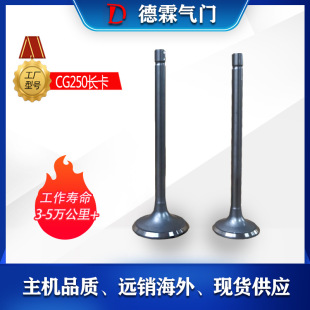 cg250Ħ��܇�и߶��M�Ś��T�L�����a�S���m��ԽҰ܇ɳ��܇��݆܇