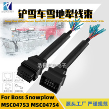 MSC04753 MSC04754 ��ѩ������ ������Bossѩ������������� �羳