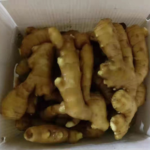���r���S�����b���� 150-350g�ּ� ���n���й����ֱ�_��