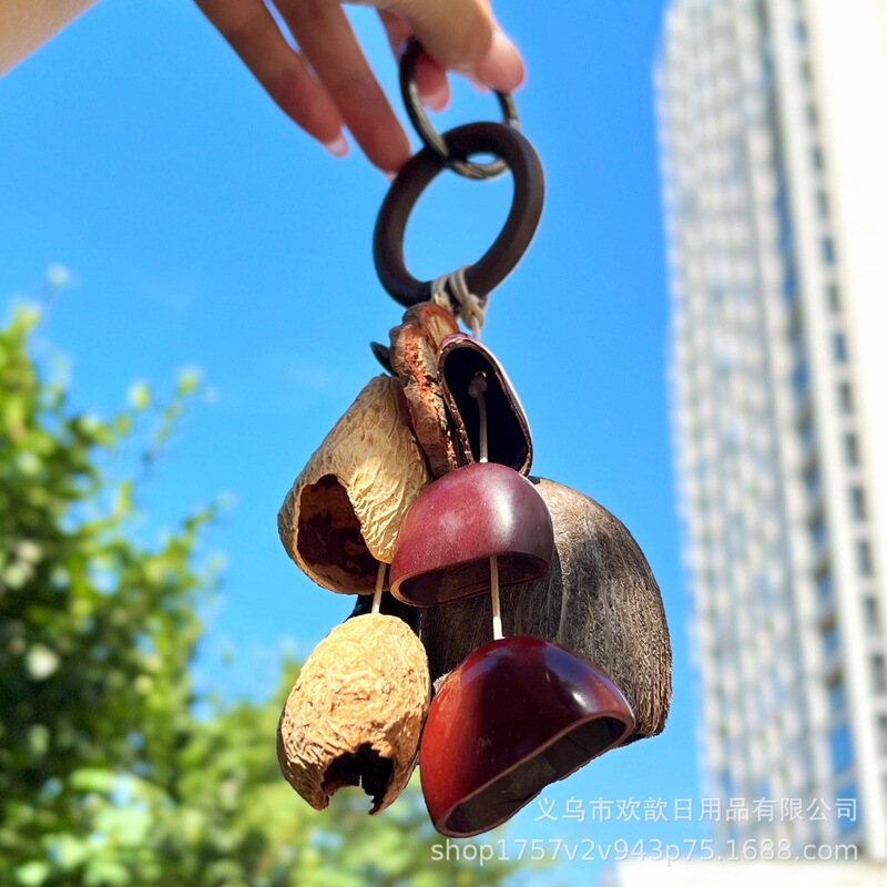 Natural Indonesian Fruit Shell Bell Hand Bell Bracelet Music Percussion Accompaniment Sound Therapy Yoga Meditation Bell Wild Fruit Shell Wind Chime