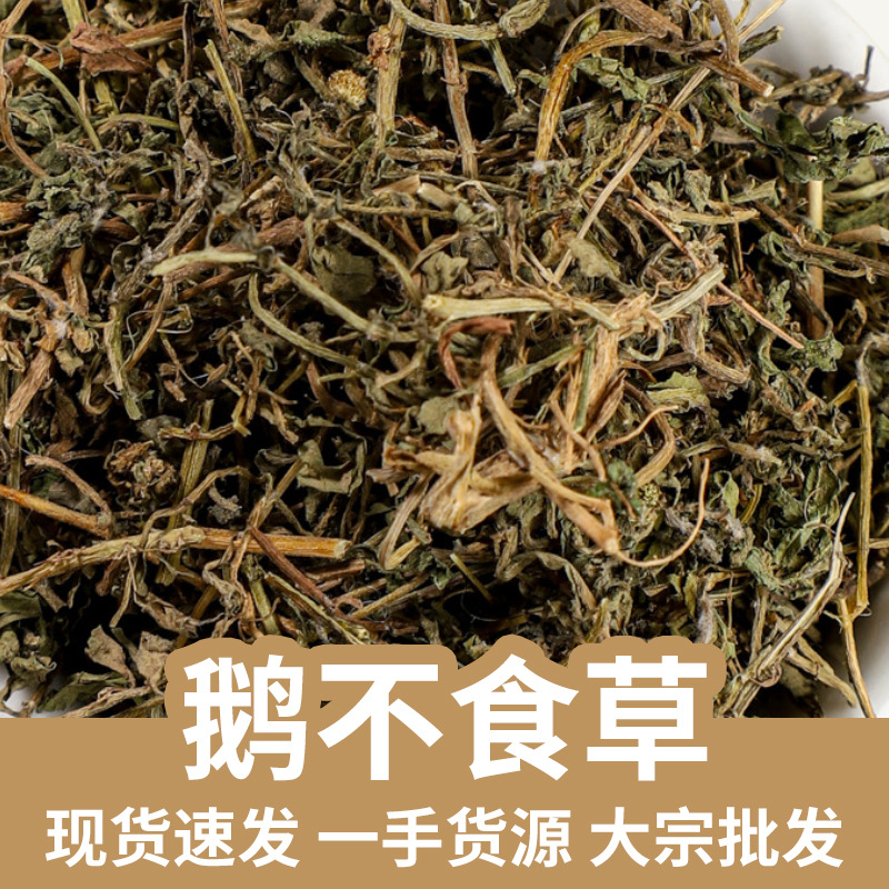 Centipeda Herb Powder E Bu Shi Cao 500g Traditional Chinese Herbal Powder for Daily Herbal Use key features