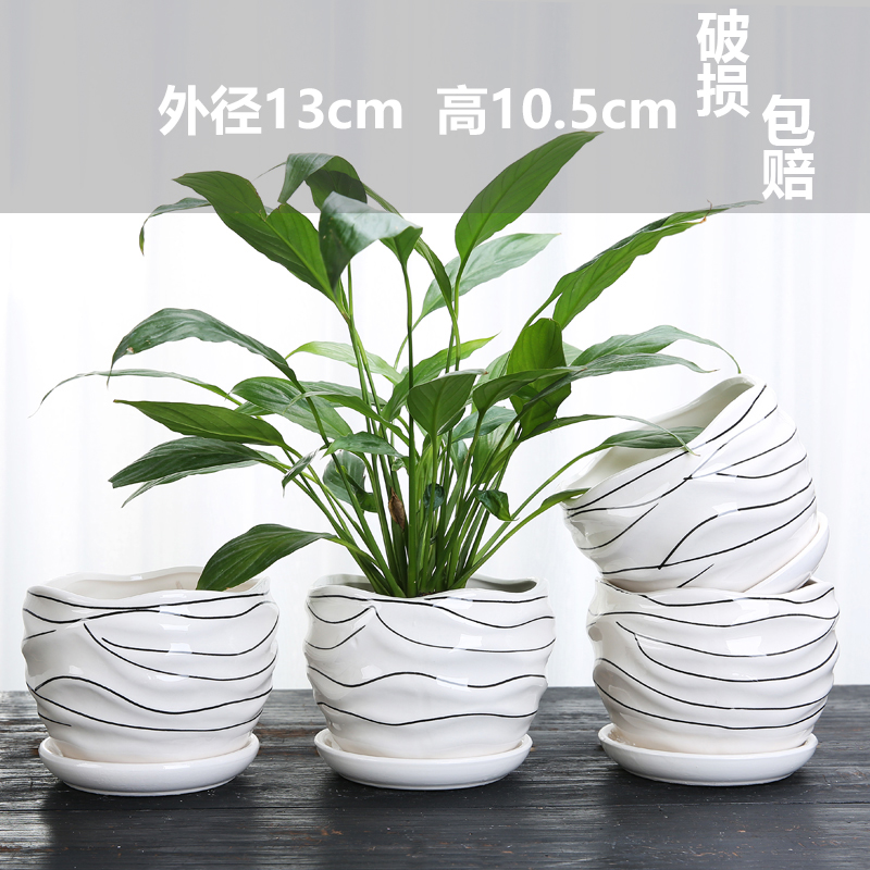 세라믹 - 중형 맞춤형 실 4개 - 대형