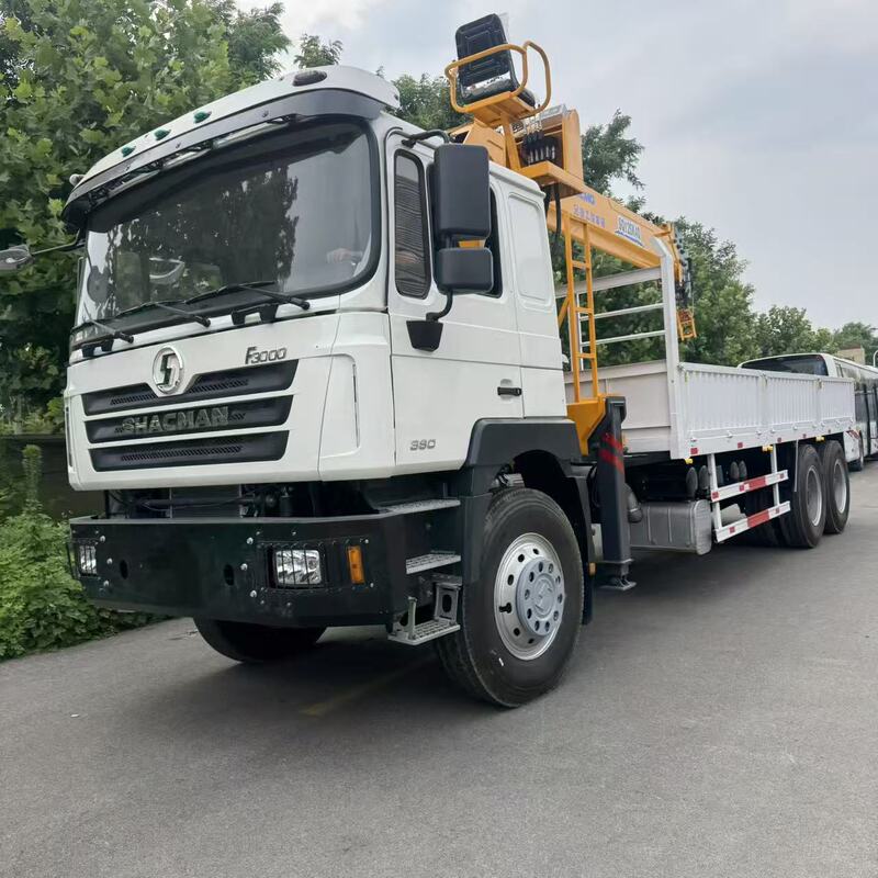Exported Shaanxi Automobile Rear-Mounted Eight-Wheel 12-Ton Crane Truck with Remote Control System and Hydraulic Telescopic Arm Howo Dump Truck Exported Shaanxi Automobile Rear-Mounted Eight-Wheel 12-Ton Crane Truck with Remote Control System and Hydraulic Telescopic Arm Howo Dump Truck