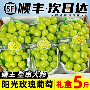 ꖹ�õ���������rˮ��5��Y��������ӡ���ᮔ���������l��S���]