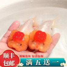 ��Ʒ���}�^؈�{���~���~��h����t����ֻ��^�^�p�~��ˮ���w���B