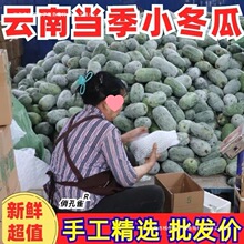 ��� �㶬��ë����С�������l�r���߲˶������r�������l����ɢ�b