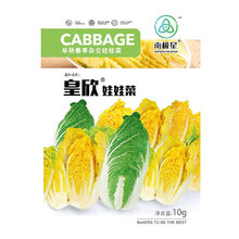 娃娃菜种子种籽黄心小白菜蔬菜四季秋季孑籽种莱种菜种春季菜籽