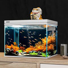 超白玻璃鱼缸客厅小型家用水族箱生态免换水过滤制氧金鱼缸