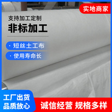 土工布源头厂家批发公路养护公园绿化短纤丙纶布聚酯长丝无纺布