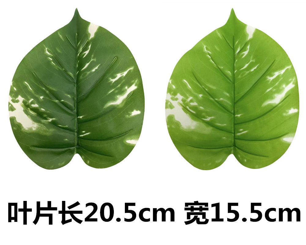 未命名_副本4