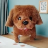 Collar Chow Chow Brown Battery Style [88% of people chose]