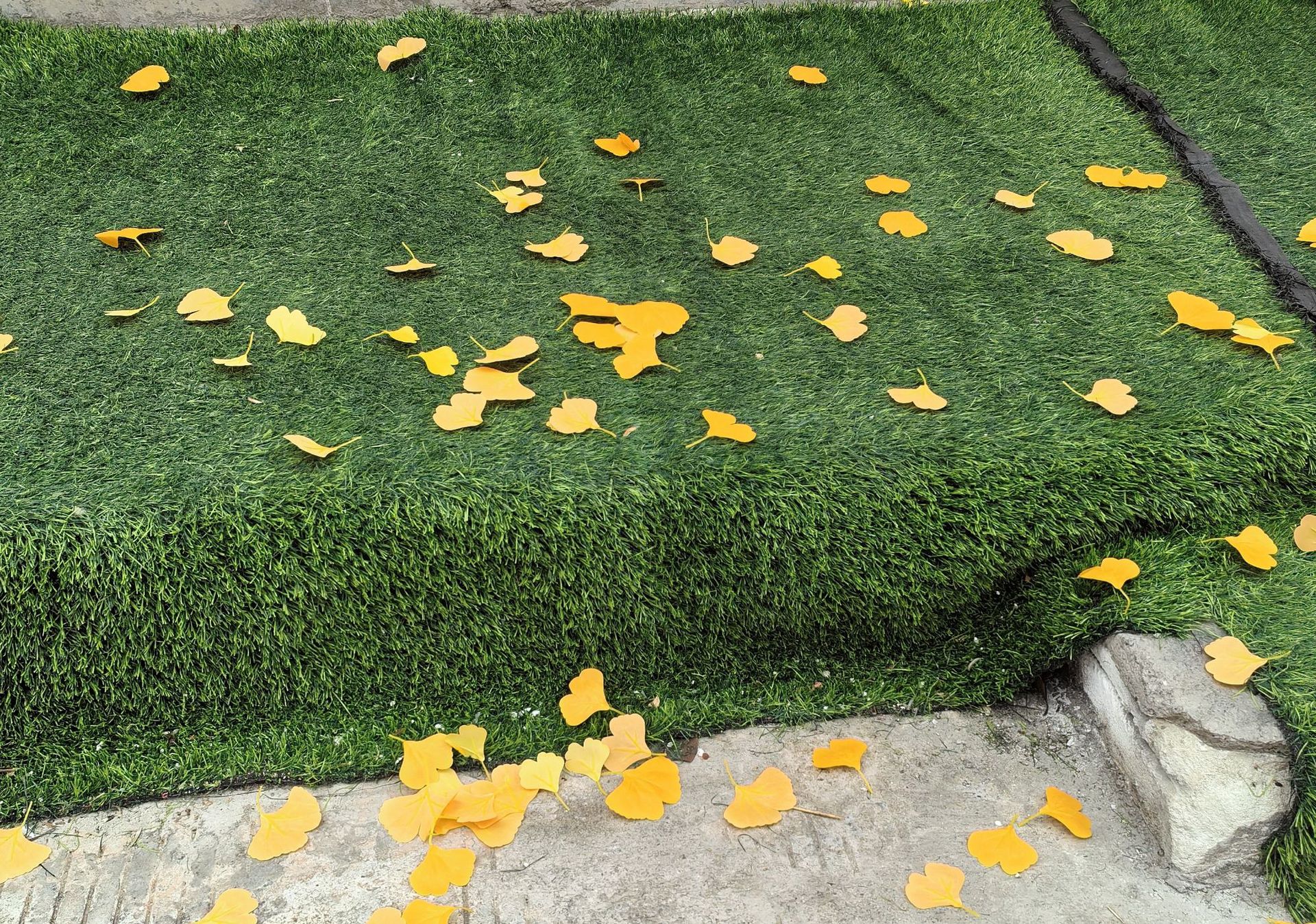 IMG_20251025_145602_副本