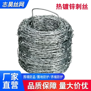 定制热镀锌防锈刺丝防爬防盗加粗加密铁丝网果园圈地铁蒺藜防护网