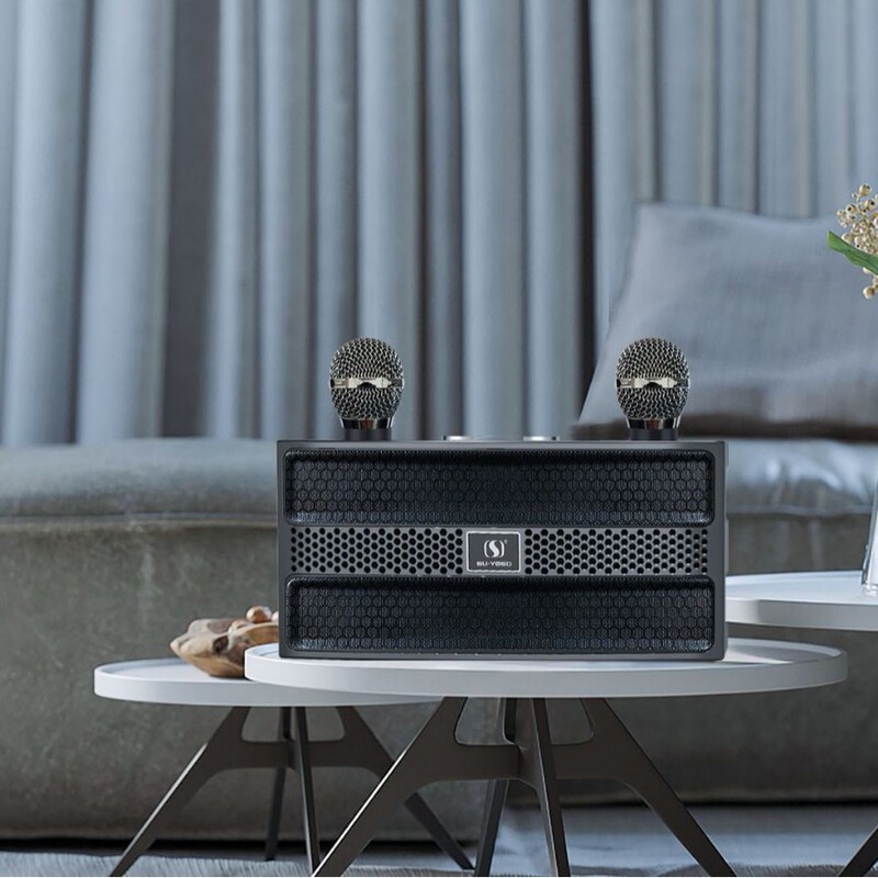 YS202 wireless Bluetooth KTV small stereo rock bass small gun speaker dual microphone Integrated Family set