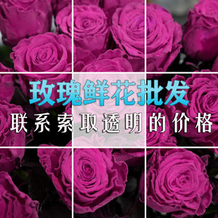 Dounan Fresh Flowers Wholesale Roses Fresh Cut Flowers Direct from the Origin Wedding Floral Materials Leaf Materials Preserved Flowers Dried Flowers Wholesale Bouquets