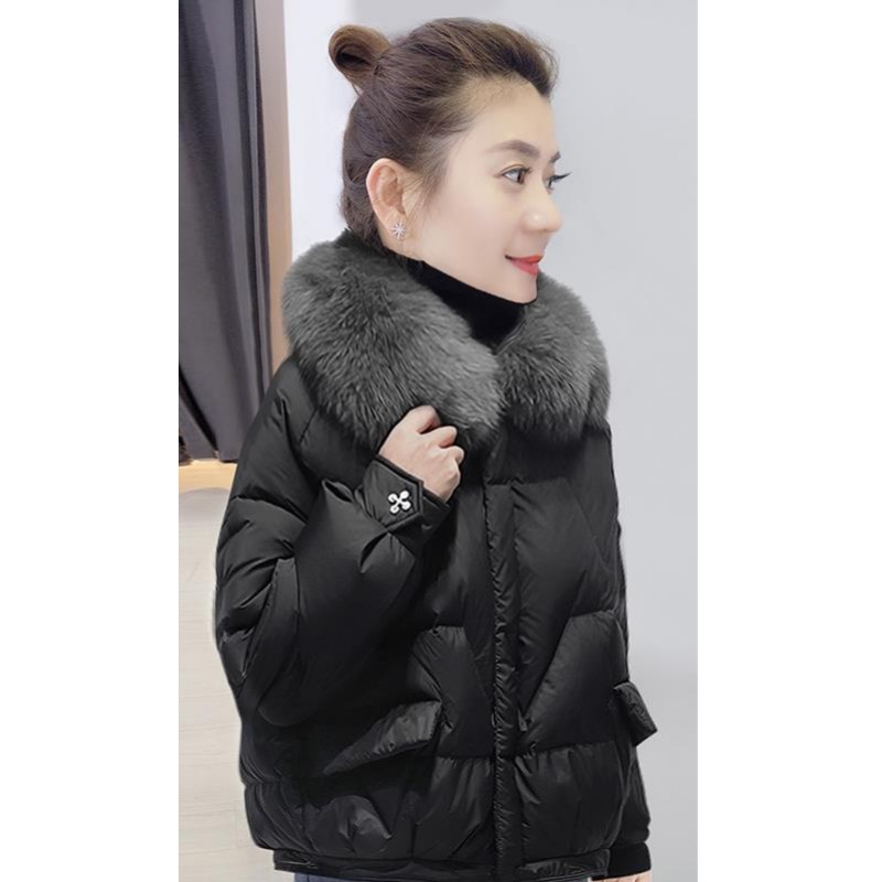 默认标题_方形海报_2022-04-05+13_42_28.