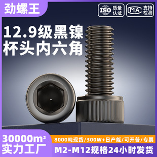 12.9���ߏ���僺�懱��^��������ᔈA���^���L�ݽz��˨M1.6/M2/M4