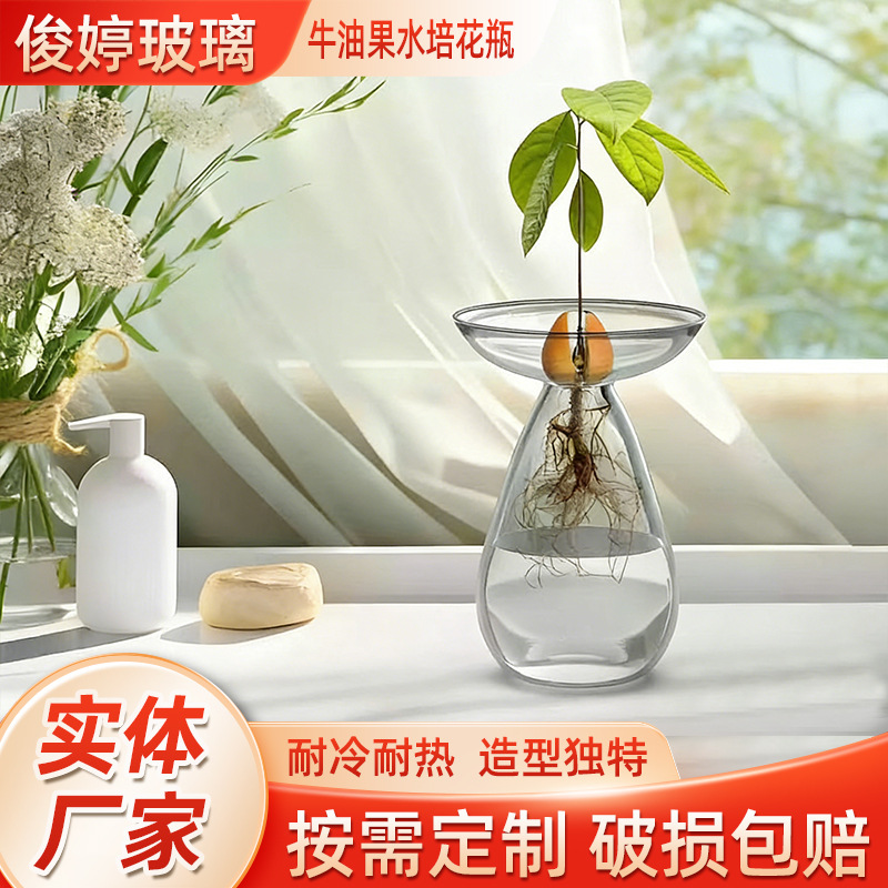 Long oval avocado hydroponic vase avocado seed water culture vessel flowerpot hydroponic seedling kernel cultivation