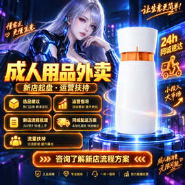 情趣用品批发成人用品代发一手成年人用品货源氮动洪吸飞机杯玩具