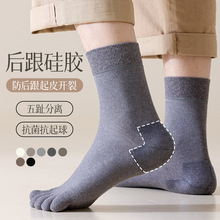 �����m����ʿ��Ͳ���z��������￹���������e�����\���m2024�¿�