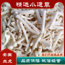 Сͨ����Ʒ��ș�ğo��ͨ��100�������a��ͨ�������Ҝ����󃞻�