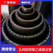 四川 重庆孔网钢带给水复合管 160孔网钢带耐热聚乙烯管源头厂家