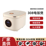 110-220V多功能电饭煲5L大容量家用定时不粘锅电饭煲礼品跨境批发