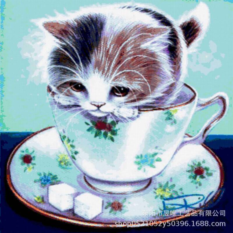Diamond Painting Manufacturer Wholesale New Fashion Photos One Piece Customization 5D Full Diamond Round Diamond Square Diamond Decorative Painting