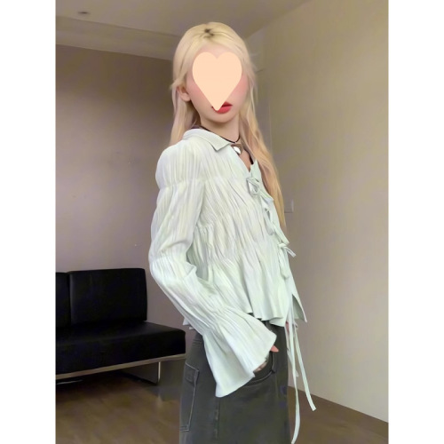 French-style lace sleeve long-sleeve women's spring shirt, new design, unique and exquisite small top