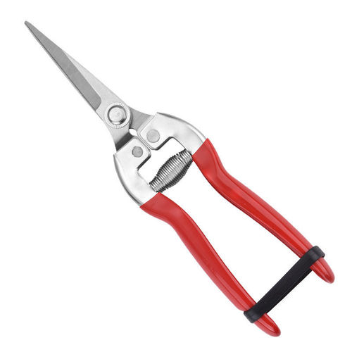 Manufacturer stainless steel pruning scissors, fruit picking scissors, vegetable and fruit scissors, grape scissors, thin fruit scissors, citrus grape scissors