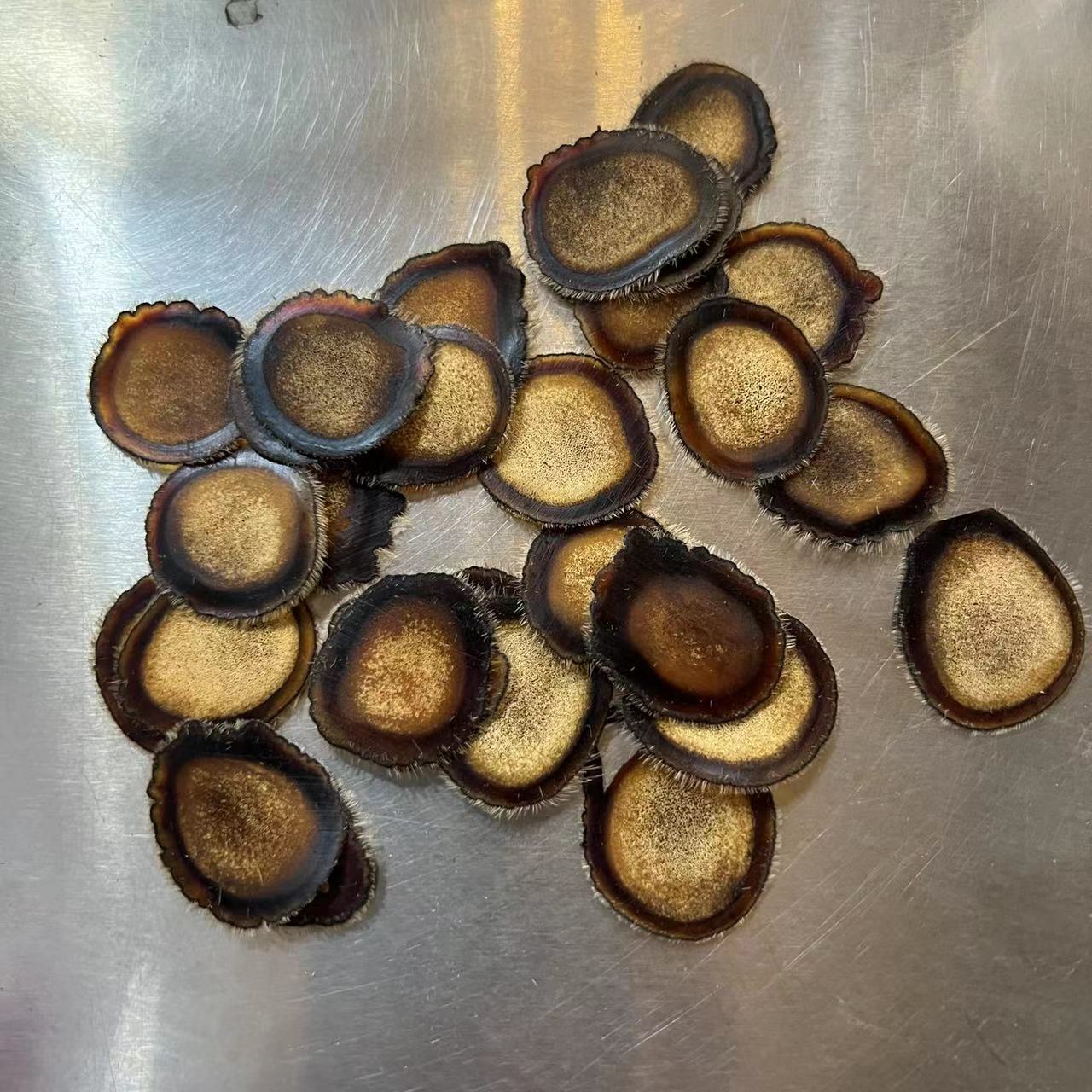 微信图片_20221017231556