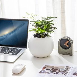 ���ϻ��脓������[�����s���΂������Α�������ˮ����Gֲ����