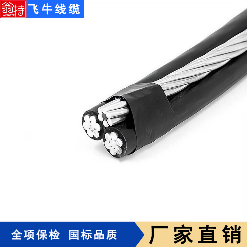 飞牛 厂家直销现货供应平行集束导线2*16麻花线 户外电缆绝缘性好