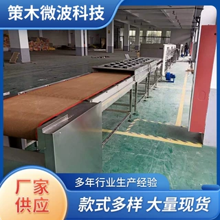定制微波干燥设备纸板烘干带式烘干机加工厂家电加热多层带全自动