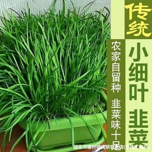 ���~�²˷N�Ӫ����tС�~�ļ��̨������@�͟��ͺ��r���߲˷N��ȫ