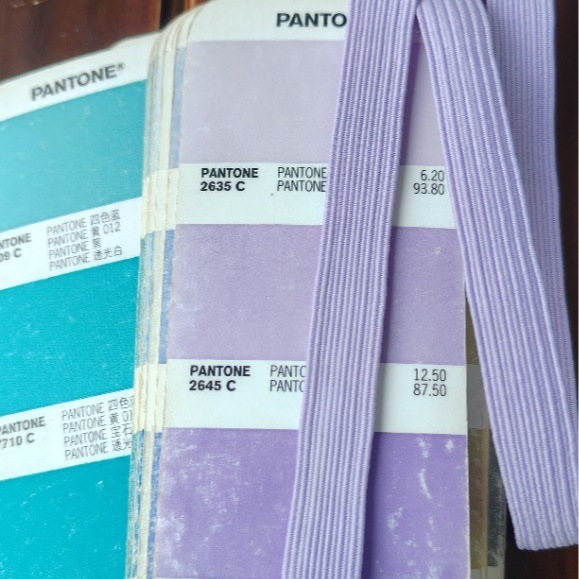 10mm走马带2645C色卡10mm浅紫色松紧带