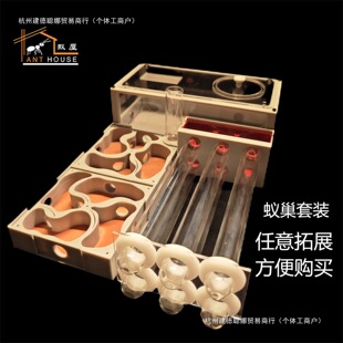 ρ�����b ρ�� �º�СȺƽ��3D������ʯ����չ�ѯBρ���W����Λρ